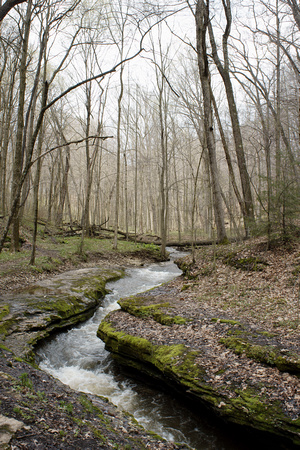Hell's Hollow, McConnell's Mill State Park, Pennsylvania